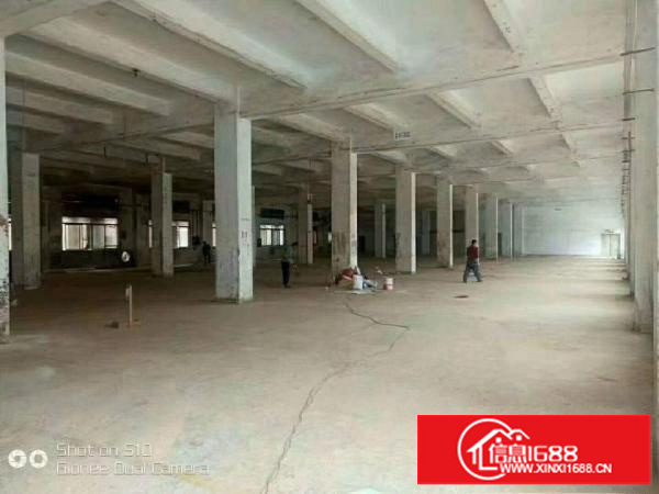 L龙岗同乐25200超靓两套独院厂房出租大小可分租