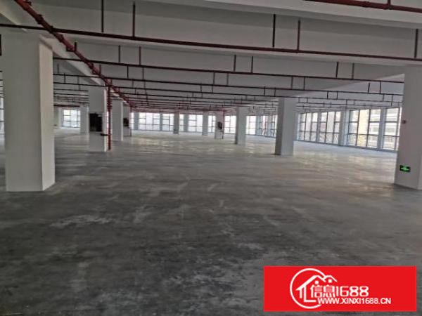 新出花园式红本证件齐全厂房出租