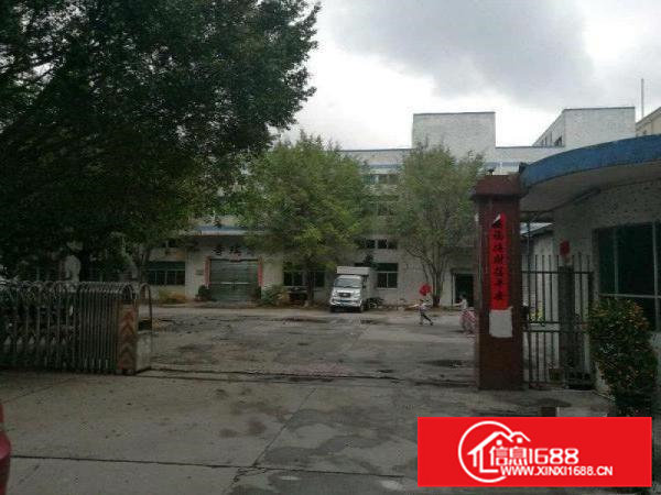 凤岗凤德岭新出超大空地一楼标准厂房1245平招租