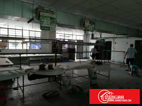 新民460 330平厂房招租行业不限交通便利