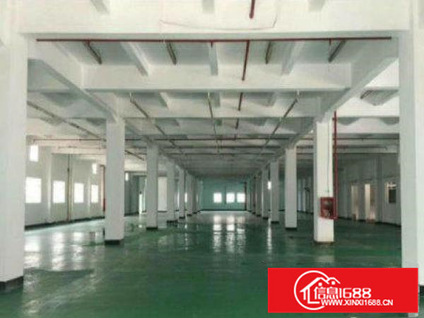 常平元江元新出带装修厂房500至2000平米