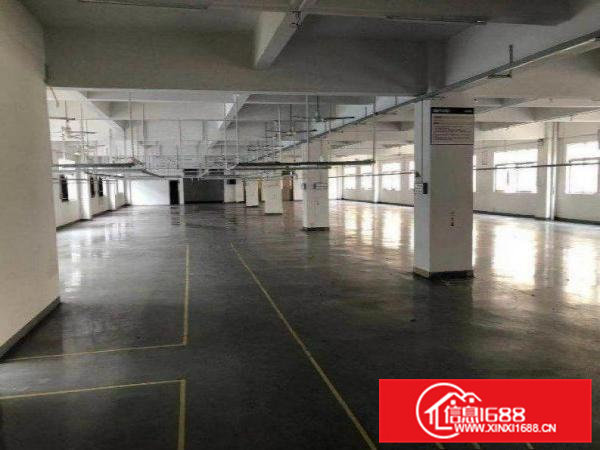 村尾原房东独院厂房，一栋两层3600平方米出租