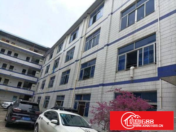 早禾坑4600平方厂房出租