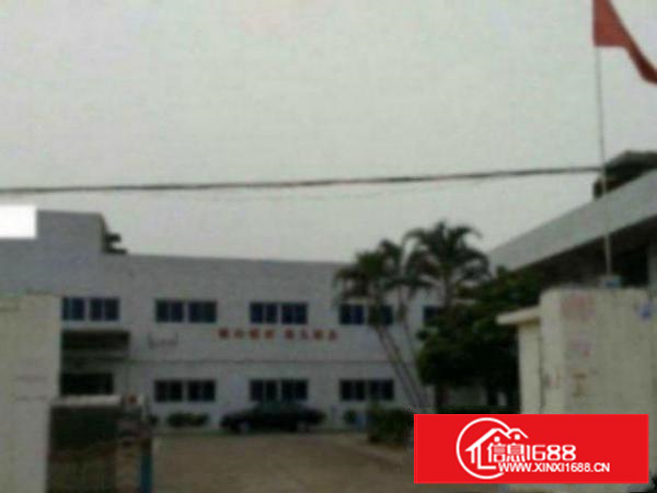 万江环城路外上甲独门独院单一厂房1600平方火爆招租