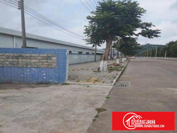 龙岗单一层厂房1000平米出租可分可整