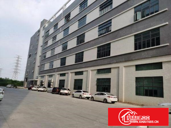 常平原房东独院厂房15000平对外招租（可以分租）全新厂房