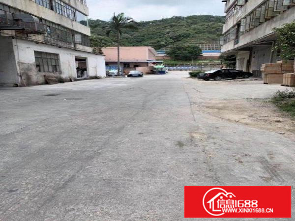 布吉红本厂房一楼1460平可分租