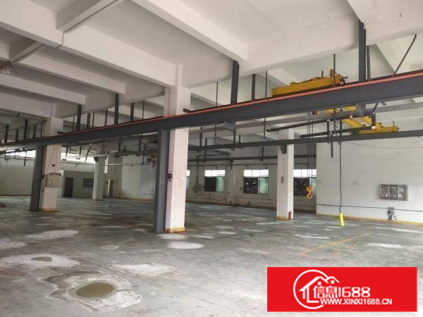 寮步原房东厂房出租一楼1000平有行车办公室装修