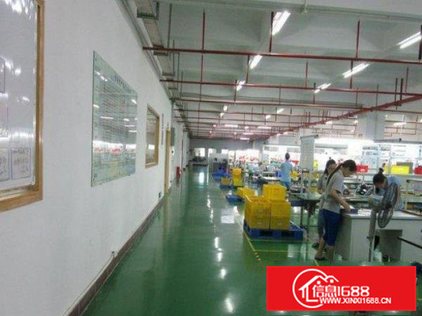 茶山东部快线旁楼上900平米带装修厂房出租