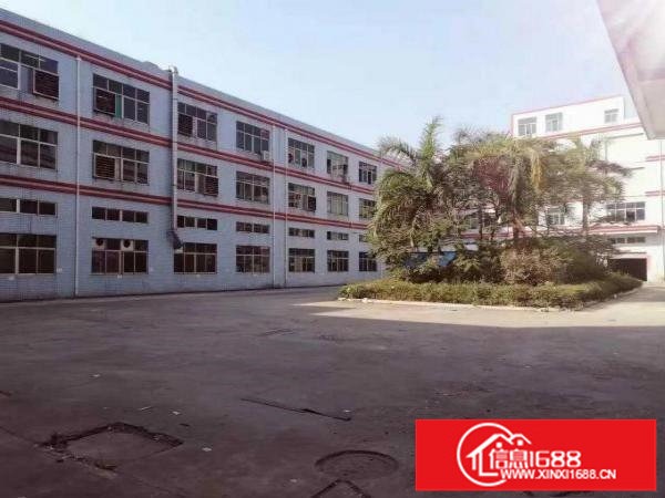 观澜新田环观南路一手房东厂房三楼750平米出租