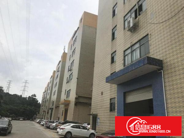 坂田成熟工业区，原房东厂房1800平，精装修！