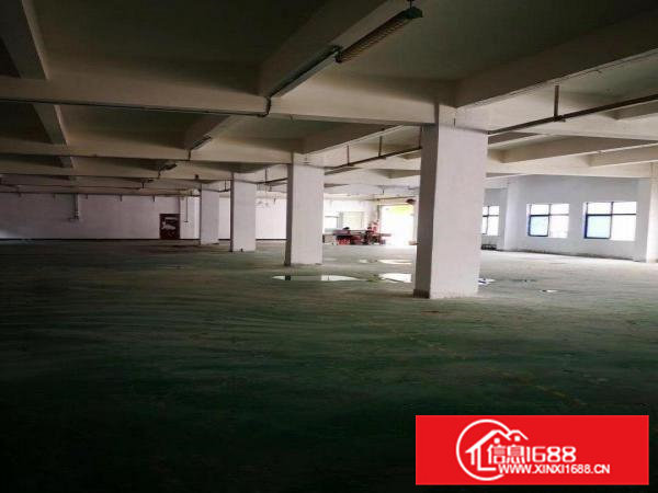 东坑洗水酸洗烤漆丝印喷粉污染厂房出租