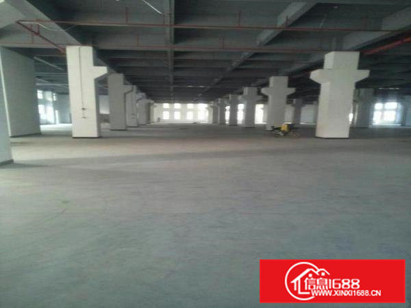 沙角工业区全新重工业厂房招租