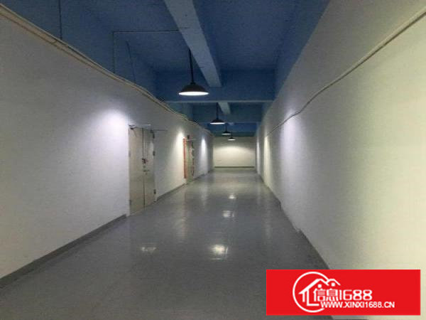 坂田坂田梅观高速华为出口厂房308平米精装修