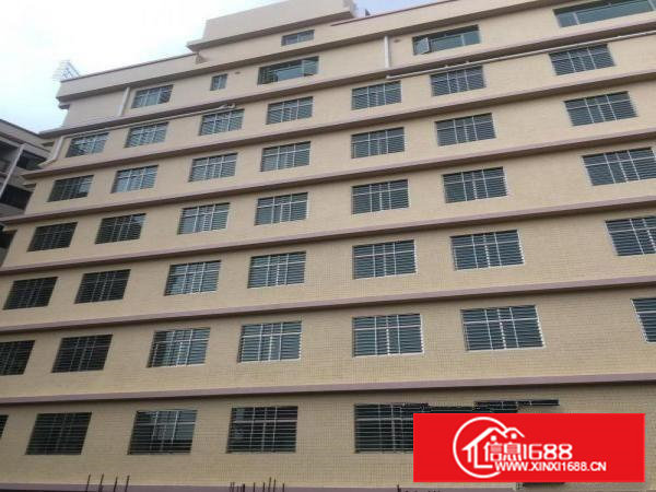 全新厂租，水电消防监控电梯齐全，适合轻轻行业，商务，仓库首选