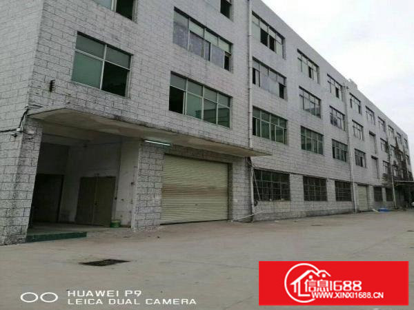 龙岗厂房500平方米起招租