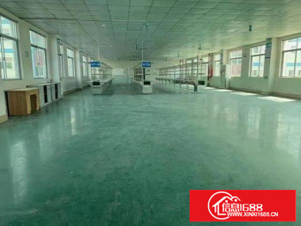 东莞市塘厦镇林村高速出口200米标准厂房出租