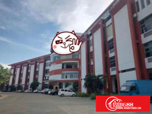 茶山新出独门独院标准厂房8000方，空地3000，一楼6米