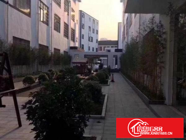 坂田光雅园140方办公室仓库出租