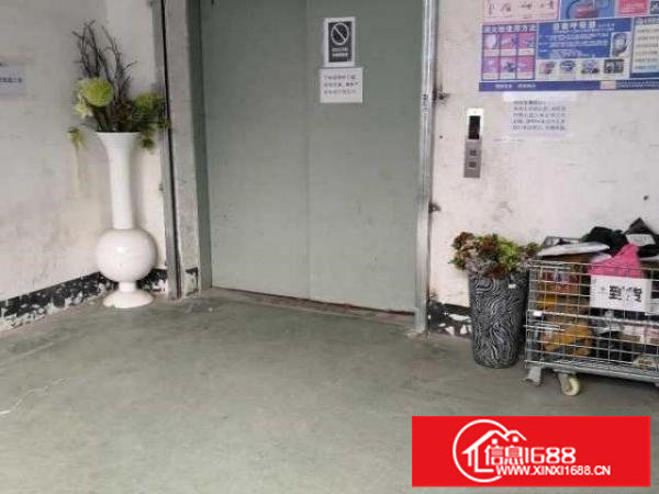 出租龙岗区坂田上需科技城北区8号E栋402转租