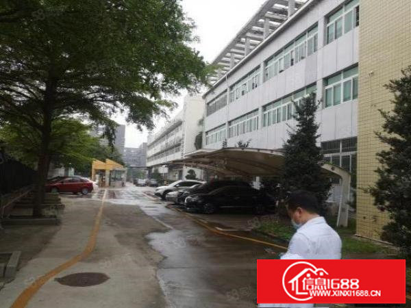 观澜新田主干道旁新出精装修2200平厂房出租无需转让费