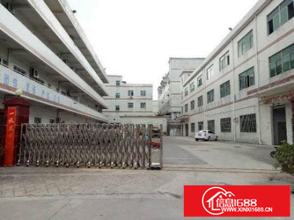 坪山坑梓金沙社区新出独院5800平带办公室装修出租