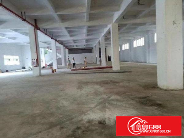 百花洞新出5000平全新独院高新产业园(可分租)