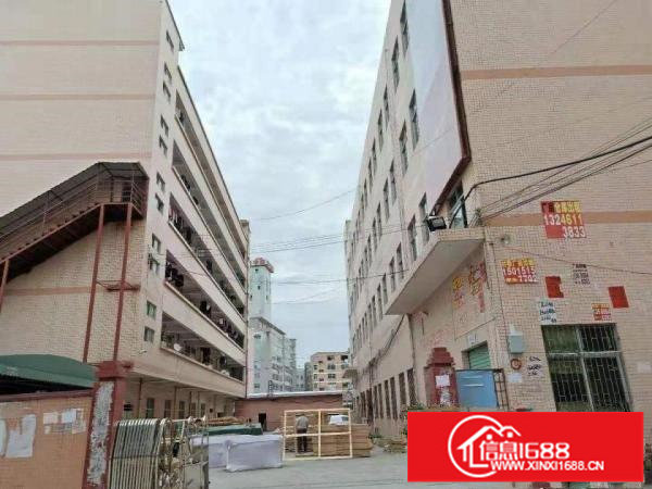 (一楼)龙岗五联空地超大独门独院厂房一楼1360平急租！