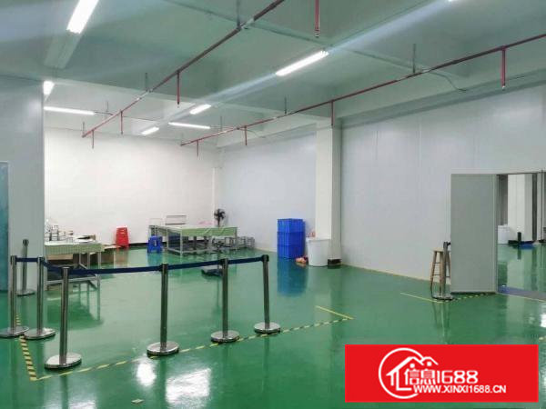 寮步镇上屯工业区科技园分租三楼1000方带办公室地平漆