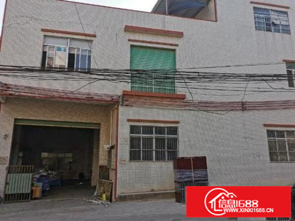 大岭山独栋1400平米厂房