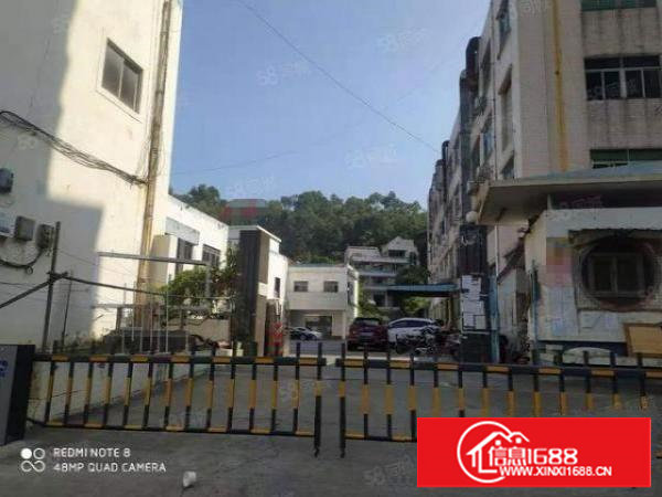 可办环坪长安镇涌头社区新出一楼280平厂房出租价格便宜