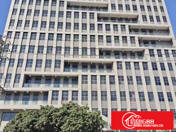 寮步松源10000全新标准厂房水电到位智能国标消防工业用地