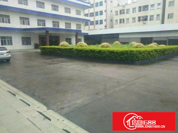 清溪三中20000平方花园式标准独院厂房出租