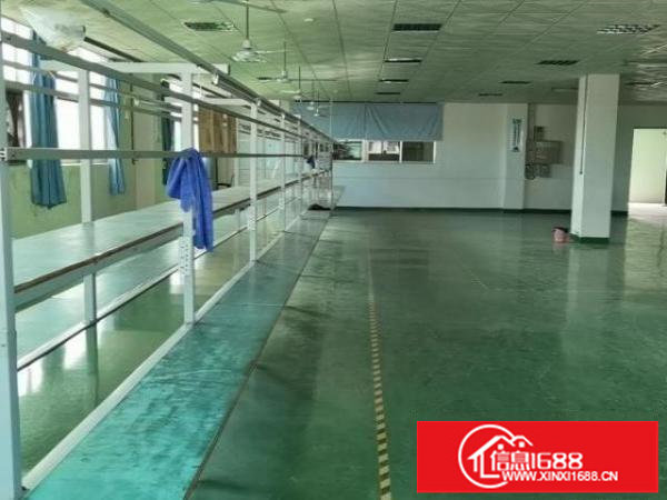 出租观澜福民原房东标准厂房1250平带精装修