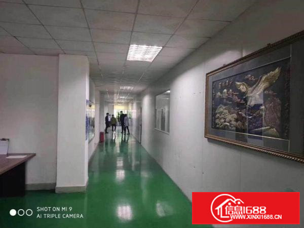 清溪三中原房东二楼2000平方带装修急租