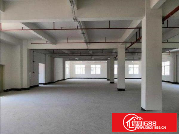 出租龙岗区228工业园一楼550平方精装办公带电梯