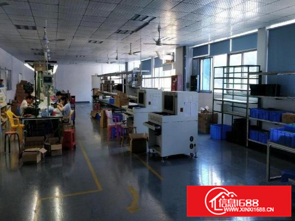 厂房出租、龙岗布吉厂房仓库电商分租350平方，交通便利精装修