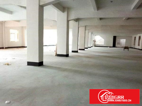 厦边全新四层共4760平厂房招租行业不限交通便利