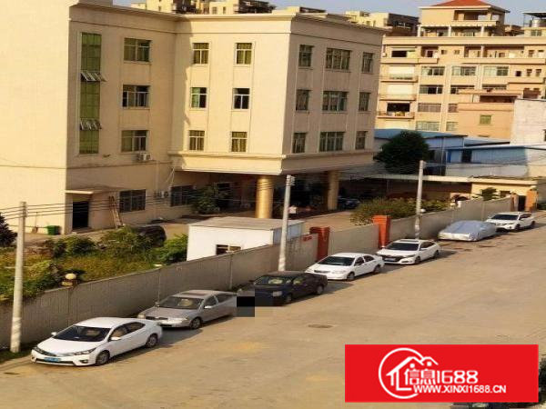 出租茶山镇茶山城区小厂房