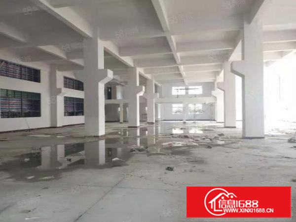 塘厦镇凤凰岗新出全新独院5570平方，楼上承重1.5吨带牛腿