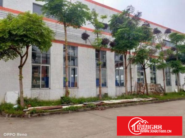 里水河村工业区原房东500平独院厂房出租水电现成拎包入住