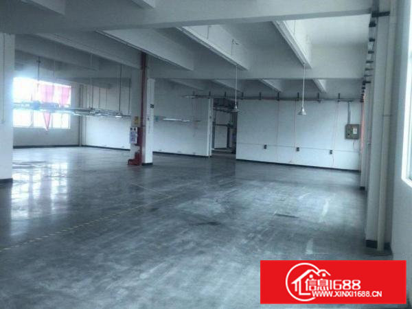 企石镇桥头镇石排镇横沥镇全新