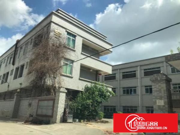 茶山新出独院标准厂房