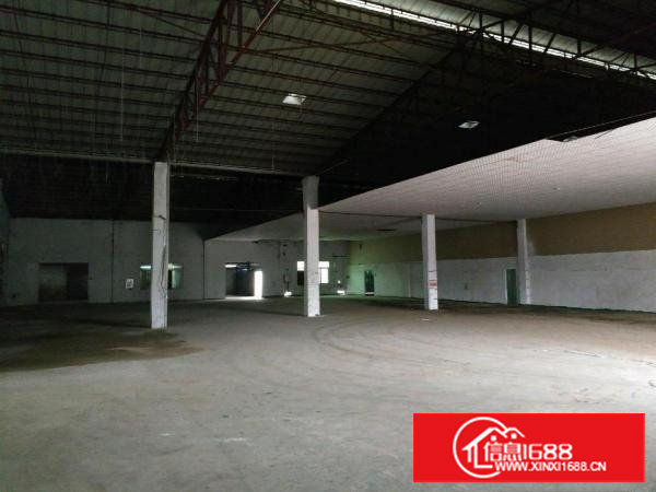 塘厦镇中心原房东独院单一层1300平方厂房出租