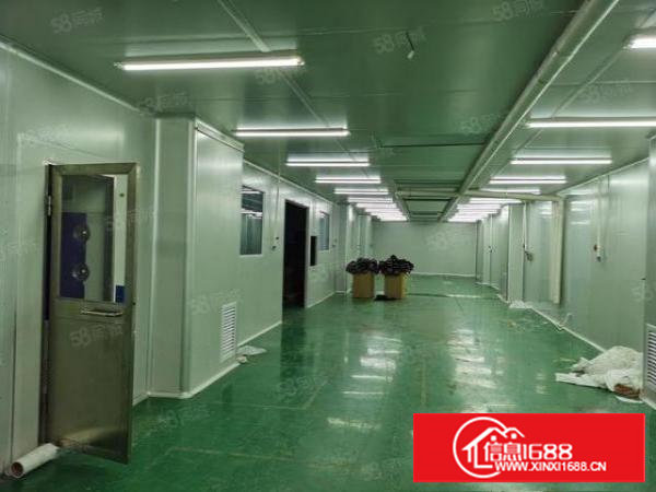 塘厦诸佛岭实业路28号标准2楼630平米无尘车间厂房出租