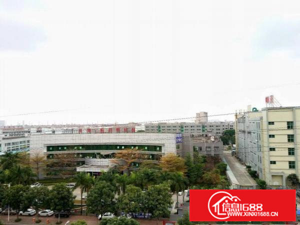 新出标准厂房一楼770方招租