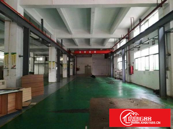 虎门北栅新出一楼六米高带装修厂房1600平