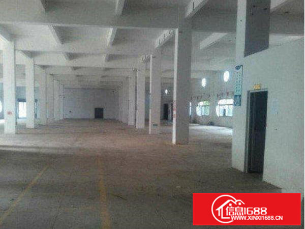 企石深巷新出一楼1500平标准厂房招租