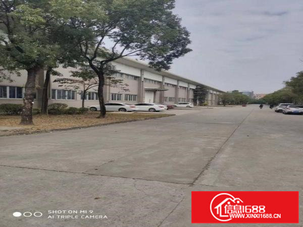 大岭山8000平米10米高钢构出租，可分租