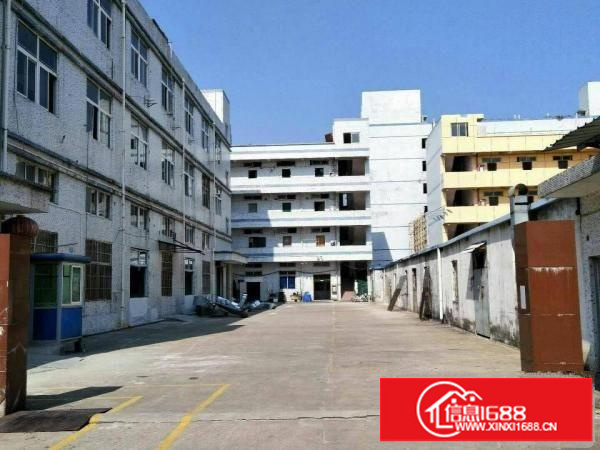 坪地教育路6米高一楼厂房800平方米带装修出租